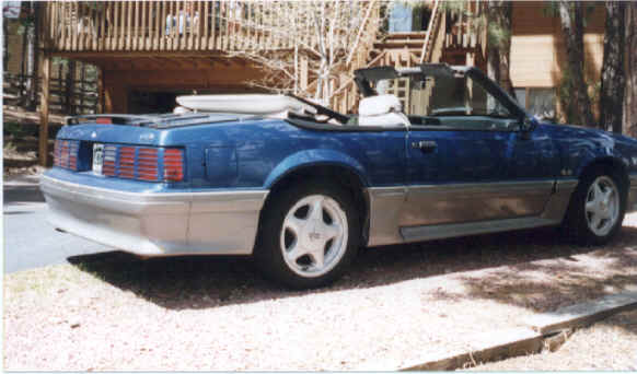 Mustang1.tif (598012 bytes)