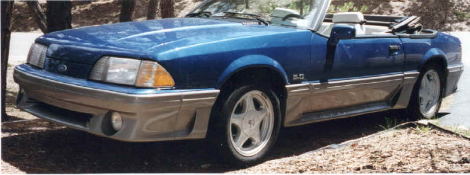 Mustang2.tif (950306 bytes)