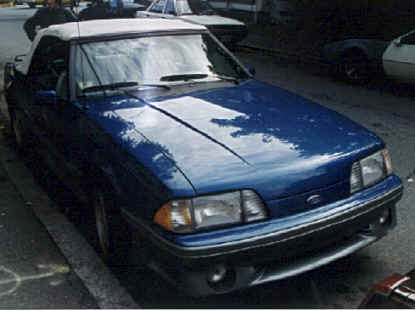 Mustang3.tif (387804 bytes)